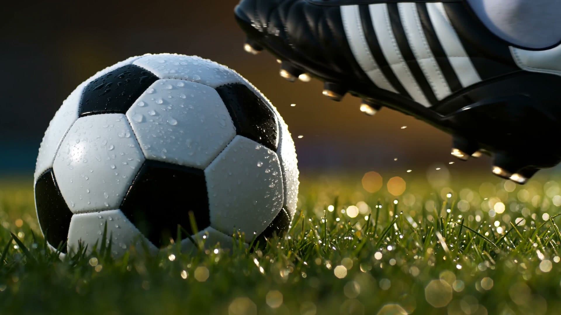 Neue Vereinshomepage online – Dank an unseren Partner RO Werbung